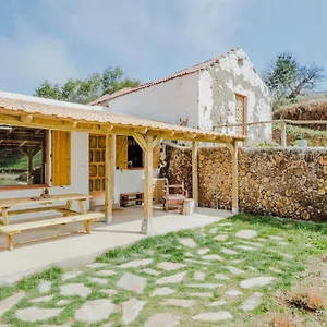 El Pino Centenario 8 Villa La Orotava