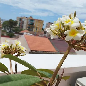 Plumaria Appartement Málaga